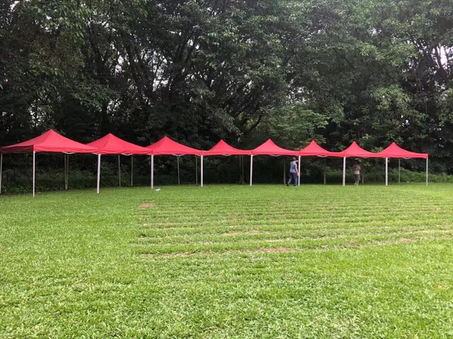 �ṩ���ڑ����ӎ������ ���� �����